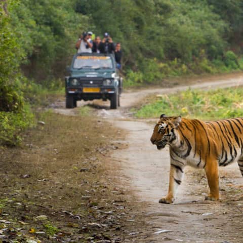 Jim Corbett tour